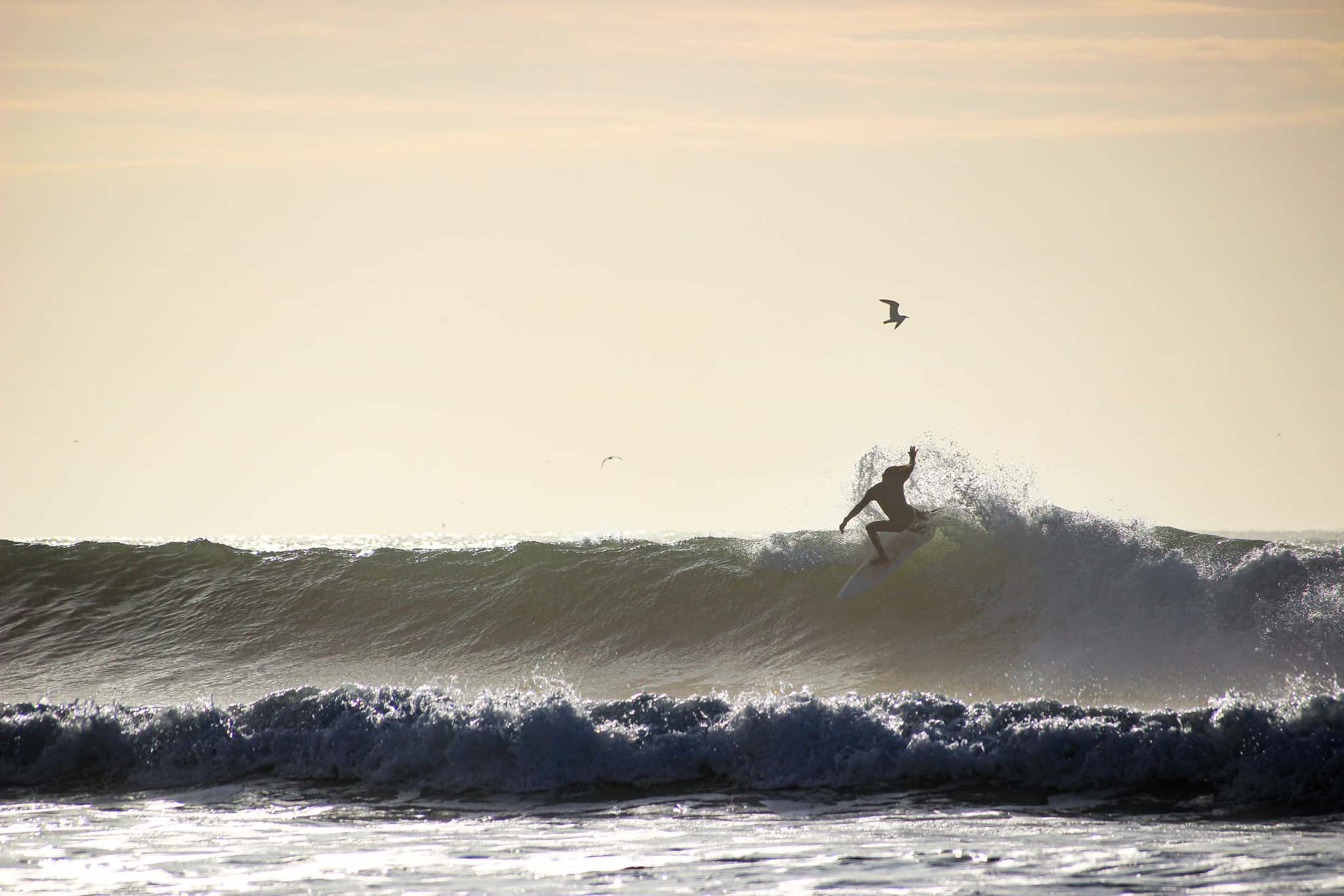 Surfear en Essaouira: la guía definitiva de viaje y spots