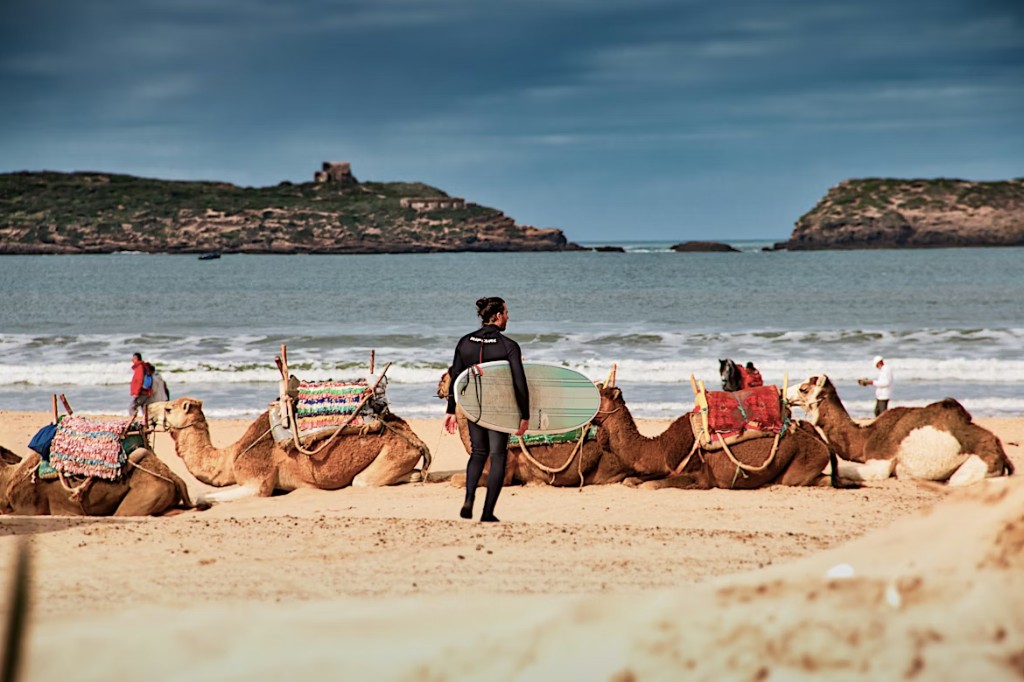 Surfer with board on Essaouira beach — Atlantic surf guide Morocco